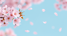 4月の挨拶文｜上旬・中旬・下旬の例文集（ビジネス＆プライベート記事の画像1