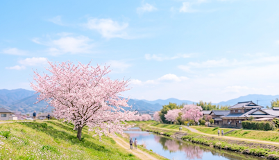 「うららか（麗らか）」の意味とは？時期やビジネス・手紙での使い方を例文紹介の画像1